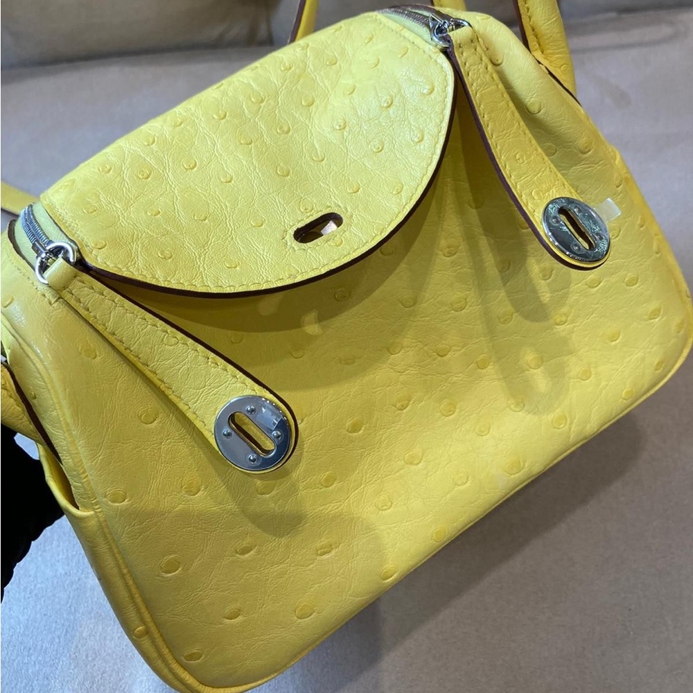 Hermes mini lindy